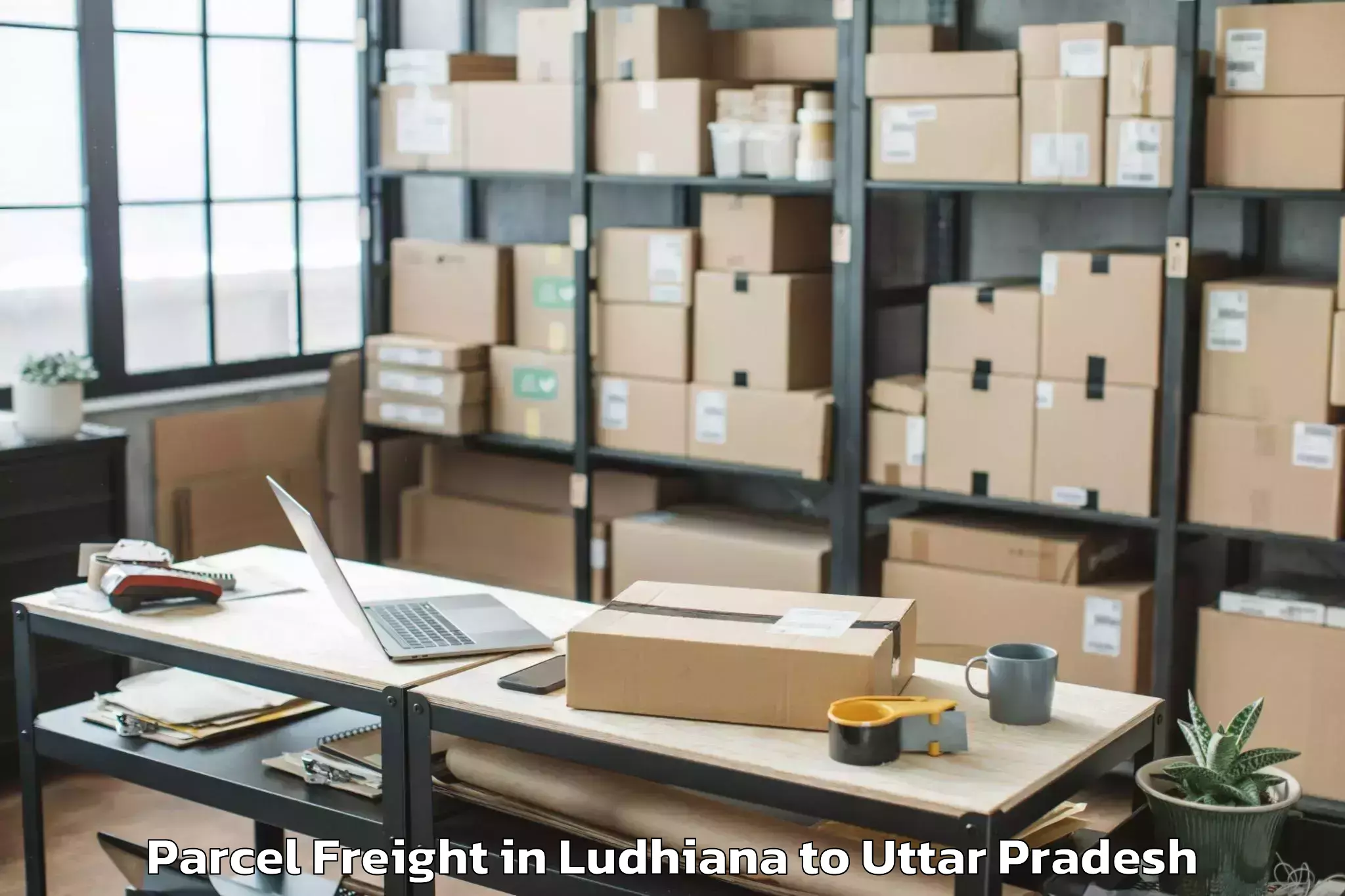 Top Ludhiana to Rasra Parcel Freight Available